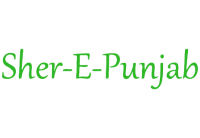 Halal Restaurant Sher-E-Punjab Lelystad HalalTime.eu