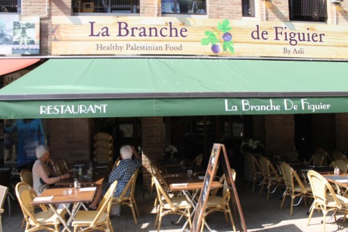 Branche de Figuier