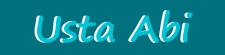 Usta Abi